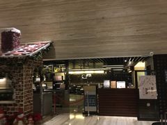 -新加坡乌节希尔顿酒店 (SG Clean)