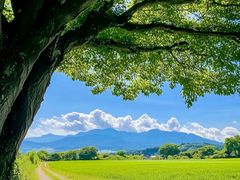 -西安汉城湖景区