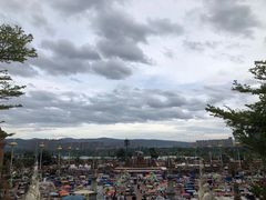 -西双版纳原始森林公园