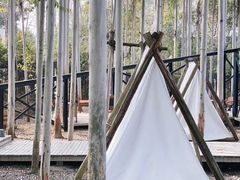 -桉树林A coffee 森林餐厅(三圣乡店)