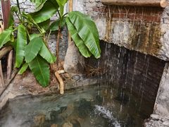 -東茅街茶馆