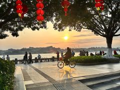 -溪岸路花鸟市场