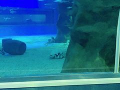 -北戴河圣蓝海洋公园