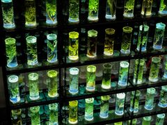 -广东中医药博物馆