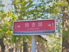 -山东大学(趵突泉校区)