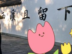 -西溪国家湿地公园