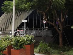 -福田红树林生态公园
