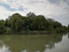 -梁鸿国家湿地公园