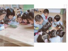 -蒙田森·蒙特梭利幼儿园(锦西园区)