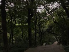 -宁波市保国寺古建筑博物馆