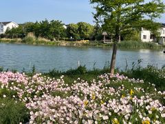 -祝甸砖窑文化馆