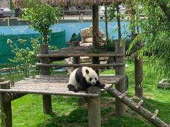 -西霞口神雕山野生动物世界