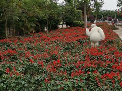 -广东花都香草世界旅游度假区