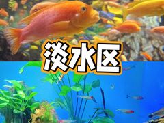 -太平洋海底世界
