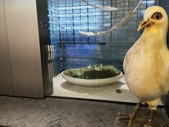 -琬苑鸽庄·川粤融合菜(解放碑总店)