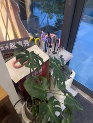 -倩极·精研痘敏肌管理