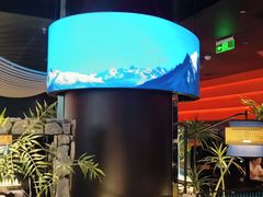 -芸山季·云南山珍菌火锅(人民广场来福士店)