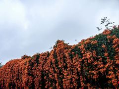-涠洲岛火山国家地质公园