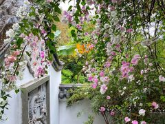 -深圳国际园林花卉博览园