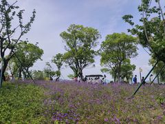 -东钱湖小普陀景区