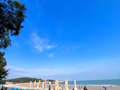 -坛南湾阿强农家乐.海鲜大排档老字号(福州地标美食店)