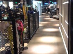 -威尔仕健身·游泳(KING88店)