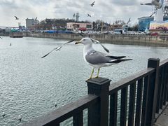 -大连圣亚海洋世界