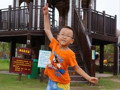 -上海长兴岛郊野公园