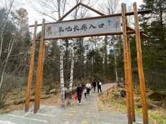 -汤旺河林海奇石景区
