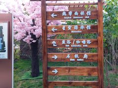-白桦林温泉谷