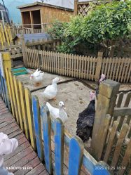 -三分地生态园·儿童乐园