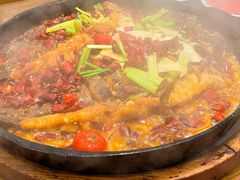 -老板恋上鱼(印象城店)