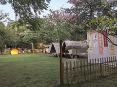 -陶缘一号·四季缘·老字号顺德菜·户外婚礼家宴(西滘店)
