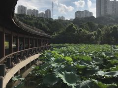 -龙头寺公园