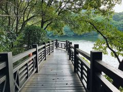 -白马涧龙池景区