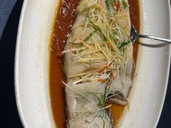 -金狮麟·新豫菜(金码大厦店)