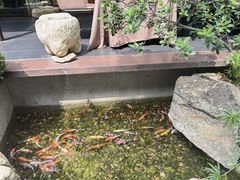-长禧家.珑厨(东风东路店)