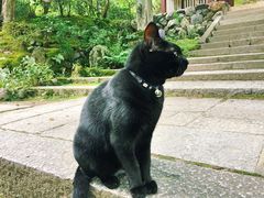 -常寂光寺