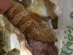 -外伶仃岛海鲜市场