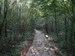 android_upload_pic-南京金牛湖风景区