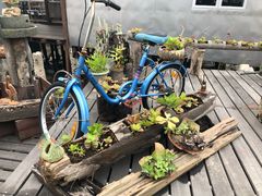 -大澳渔村及棚屋