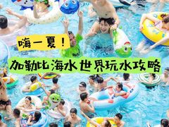 -重庆海昌加勒比海水世界