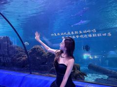 -重庆欢乐海底世界