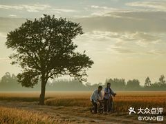 -北京英嘉国际影城(金源CINITY店)