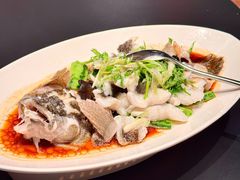 -博多新记·粤菜