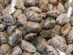 -龍歌自助小火锅(城阳万象汇店)