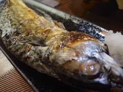 -KITON喜豚(清晖园店)