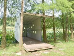 -南宁良凤江国家森林公园