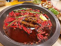 -黄潇洒老火锅(九眼桥宏济巷店)