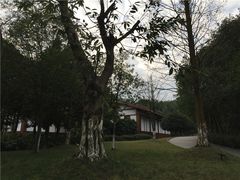 -邓小平故里